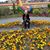 Carol Shane's profile image