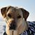 Dawne Shaughnessy-Mudford's profile image