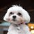 Margarita Mendoza's profile image