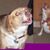 Terry D. Reid's profile image