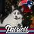 Stacey Wiese's profile image