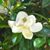 Sharon Ann Kaper's profile image