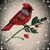 Brenda Grundlock's profile image
