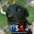 Natalie DiGregorio's profile image