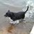 Jana Schroeer's profile image