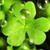 Maureen Condon's profile image