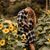 Elizabeth Ann Buchholz's profile image