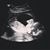 Rachael LeCour's profile image