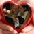 Annette Rivera-Pilsudski's profile image