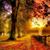 Cheryl Dimmitt's profile image