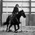 Loni Knepper's profile image
