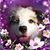 Lynn Kraut's profile image