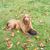 Buzz Martensen's profile image