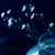 Linda Maxey's profile image