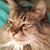 Kassandrae Kit Wones's profile image