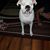 Lisa N Greg Migues's profile image