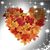 Jennifer L Moller Day's profile image