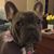 Barbara Dafter's profile image