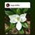 Mary Rice's profile image