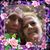 Julie Huffman's profile image
