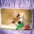 Bonnie Hodson's profile image
