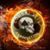 Don Bandy's profile image
