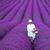 Barbara Petiste-Bonai's profile image