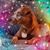 Victoria Vickywithay Gardin's profile image