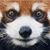 Isabeau d'Anjou's profile image