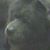 Judy W Huie's profile image
