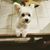 Susan Saade's profile image