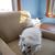 Pam Carman's profile image