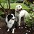 Cherie Boyd's profile image