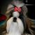 Jill D Ryan's profile image