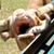 Donna DeVoltz Vizina's profile image