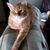 Pat Eckman's profile image
