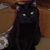 Lauralee Wesson's profile image