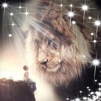 Sara Gensheer Murphy's profile image