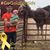 Justin Brimhall's profile image