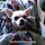 Mary Jane Kelliher's profile image