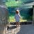 Donna Treadwell's profile image