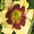 Pam Fitzpatrick's profile image