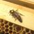 Jennifer Griffin Gray's profile image