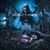 Denis Bacallao's profile image