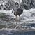 Wendy Lehman Cotton's profile image