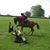 Leslie Harris Doyle's profile image