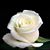 Kathryn Blake's profile image
