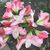 Maria Rodrigues's profile image