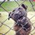 Lawrie Dowsett's profile image