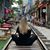 Kim Boerma Jary's profile image
